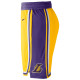 Nike Ανδρικό σορτς Los Angeles Lakers Icon Edition Swingman